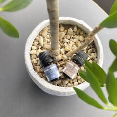 夏におすすめなアロマオイル！爽やかな香りで暑さを乗り切ろう♪