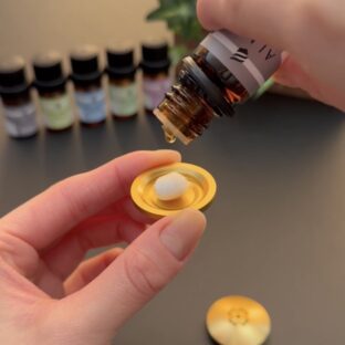 今日から新年度♪